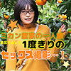 みかん 2