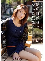 僕の性奴●ペットになった兄嫁 3