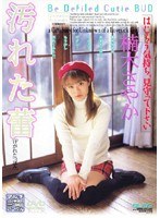 汚れた蕾 楠木さやか