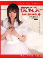 天使さまっ （1） SAKURANOEL model.さくらの