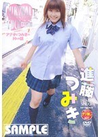 バーチャルファック 女子校生編 進藤つみき