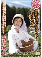 全国熟女捜索隊 田舎の茶畑でお茶摘みするお母さん