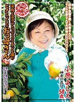 全国熟女捜索隊 淫肉と淫汁がたっぷりのミカンを摘むビタミンCなおっ母さん
