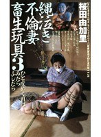 縄泣き不倫妻畜生玩具3 桜田由加里