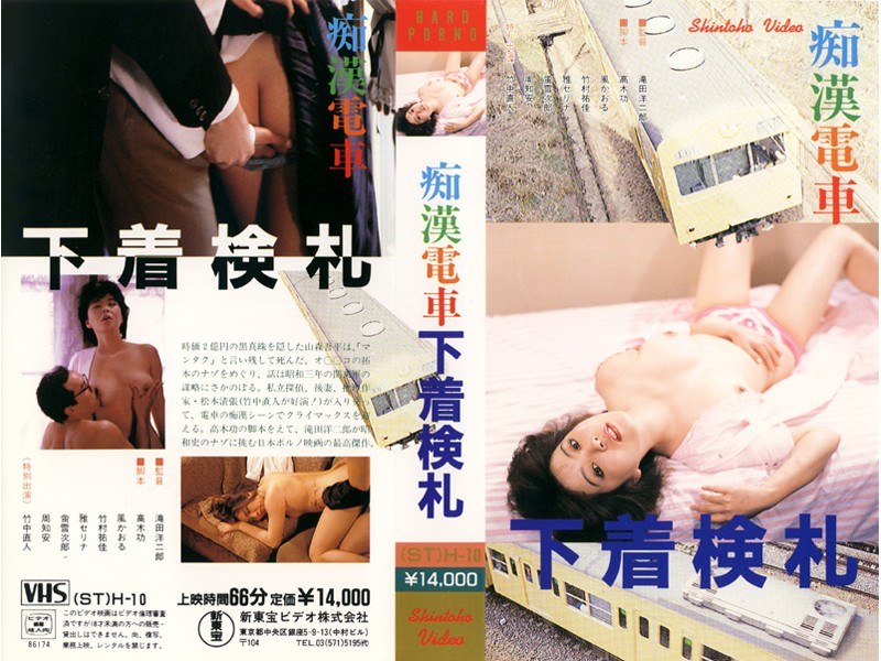 痴●電車 下着検札