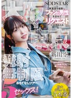 大阪→東京 東海道を縦断しファンの男性を訪ねてリクエストに全部応える発射無制限おもてなしツアー 5セックス！ 新川空