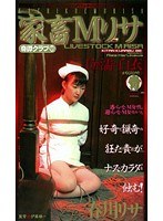 家畜Mリサ 春川リサ