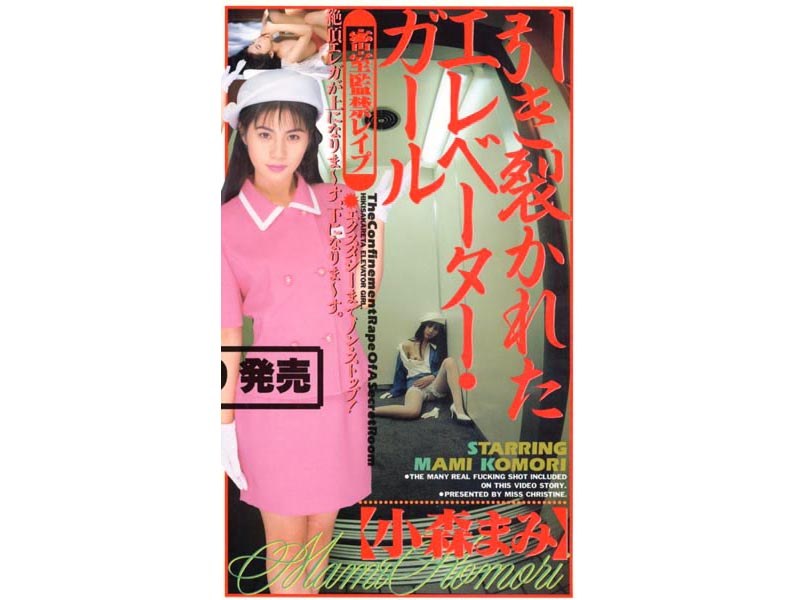 引き裂かれたエレベーター・ガール