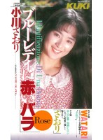 ブルーレディーに赤いバラ 小川さおり