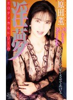 淫夢 エロティカルドリーム 原田薫