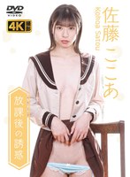 放課後の誘惑 佐藤ここあ