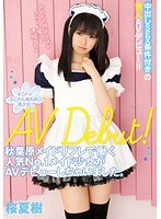 秋葉原メイドリフレで働く人気No.1メイド少女がAVデビューしちゃいました。 桜夏樹