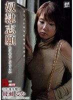 奴●志願 綾瀬るか