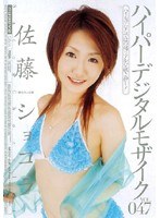 ハイパーデジタルモザイクVol.047 佐藤ショコラ