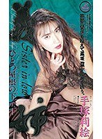 義姉 ひとつ屋根の下で 手塚りえ